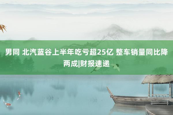 男同 北汽蓝谷上半年吃亏超25亿 整车销量同比降两成|财报速递