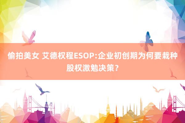 偷拍美女 艾德权程ESOP:企业初创期为何要栽种股权激勉决策？