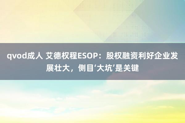 qvod成人 艾德权程ESOP：股权融资利好企业发展壮大，侧目‘大坑’是关键