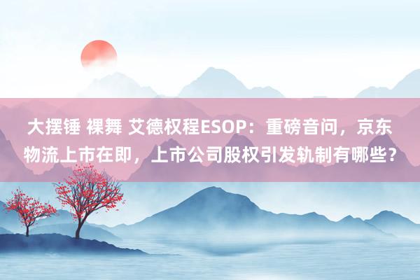 大摆锤 裸舞 艾德权程ESOP：重磅音问，京东物流上市在即，上市公司股权引发轨制有哪些？