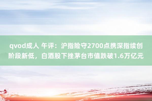 qvod成人 午评：沪指险守2700点携深指续创阶段新低，白酒股下挫茅台市值跌破1.6万亿元