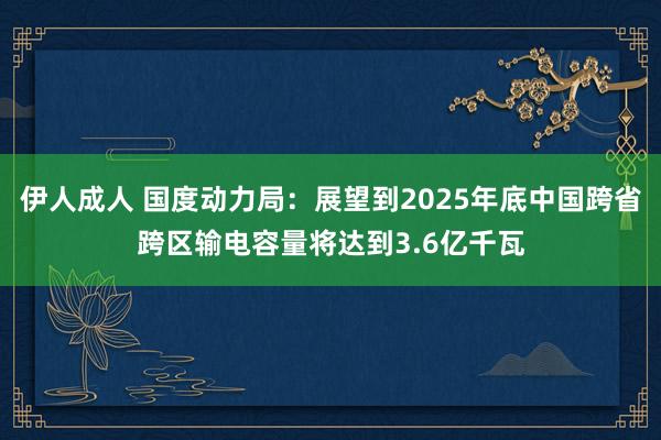 伊人成人 国度动力局：展望到2025年底中国跨省跨区输电容量将达到3.6亿千瓦