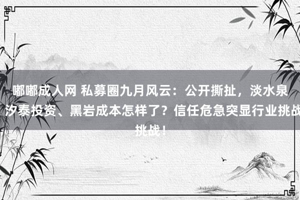 嘟嘟成人网 私募圈九月风云：公开撕扯，淡水泉、汐泰投资、黑岩成本怎样了？信任危急突显行业挑战！