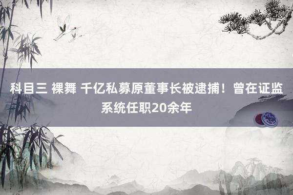 科目三 裸舞 千亿私募原董事长被逮捕！曾在证监系统任职20余年