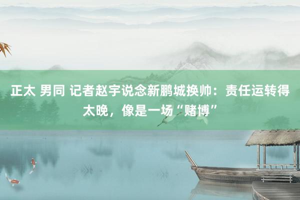 正太 男同 记者赵宇说念新鹏城换帅：责任运转得太晚，像是一场“赌博”