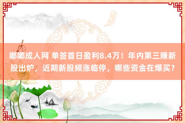 嘟嘟成人网 单签首日盈利8.4万！年内第三赚新股出炉，近期新股频涨临停，哪些资金在爆买？