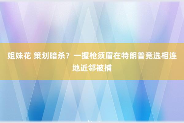 姐妹花 策划暗杀？一握枪须眉在特朗普竞选相连地近邻被捕