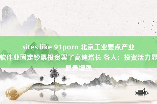 sites like 91porn 北京工业要点产业和信息软件业固定钞票投资罢了高速增长 各人：投资活力显贵增强