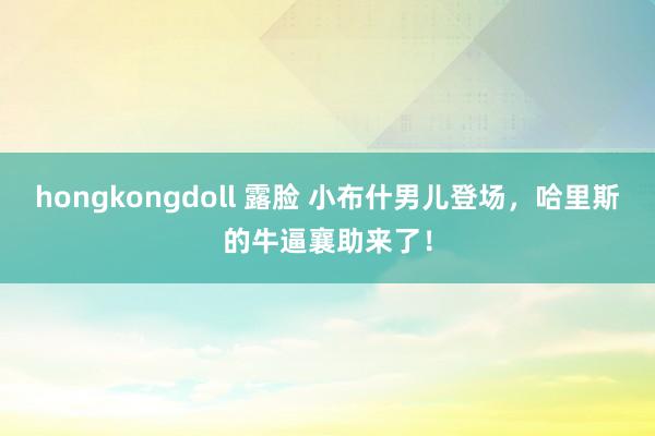 hongkongdoll 露脸 小布什男儿登场，哈里斯的牛逼襄助来了！