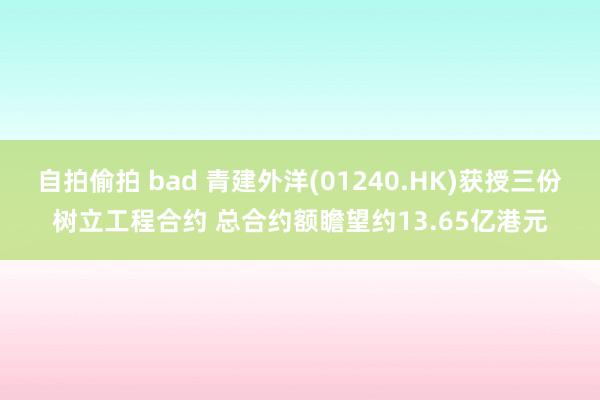 自拍偷拍 bad 青建外洋(01240.HK)获授三份树立工程合约 总合约额瞻望约13.65亿港元