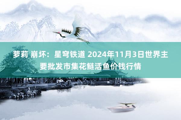 萝莉 崩坏：星穹铁道 2024年11月3日世界主要批发市集花鲢活鱼价钱行情