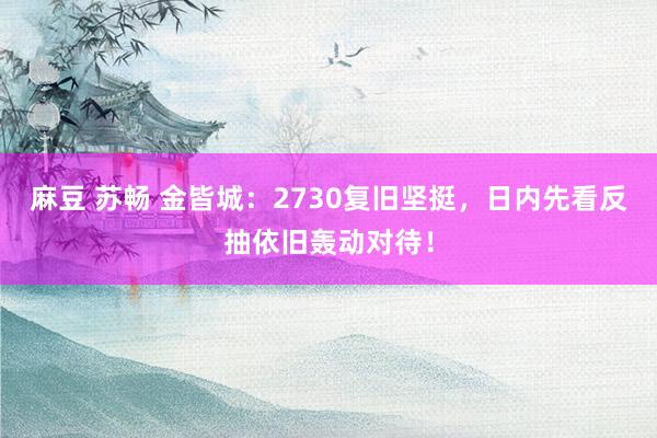 麻豆 苏畅 金皆城：2730复旧坚挺，日内先看反抽依旧轰动对待！