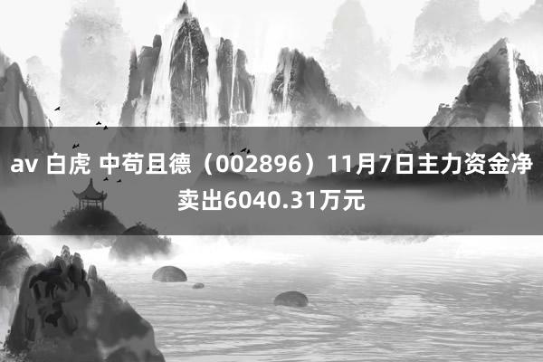 av 白虎 中苟且德（002896）11月7日主力资金净卖出6040.31万元