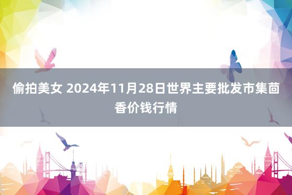 偷拍美女 2024年11月28日世界主要批发市集茴香价钱行情