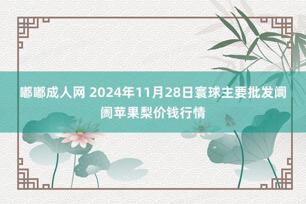 嘟嘟成人网 2024年11月28日寰球主要批发阛阓苹果梨价钱行情