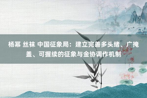 杨幂 丝袜 中国征象局：建立完善多头绪、广掩盖、可握续的征象与金协调作机制