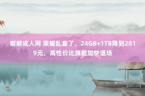 嘟嘟成人网 荣耀乱套了，24GB+1TB降到2819元，高性价比旗舰加快退场