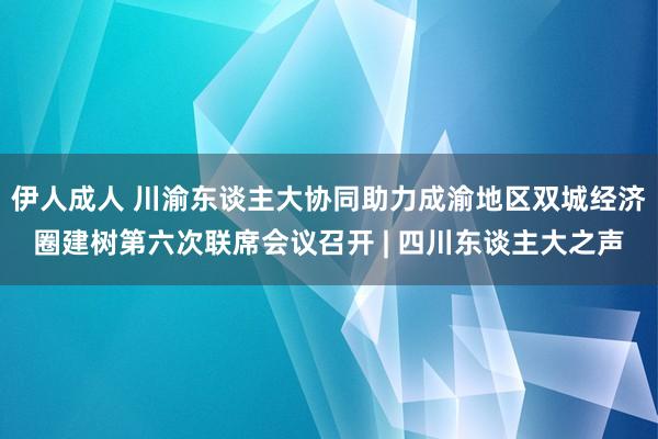 伊人成人 川渝东谈主大协同助力成渝地区双城经济圈建树第六次联席会议召开 | 四川东谈主大之声