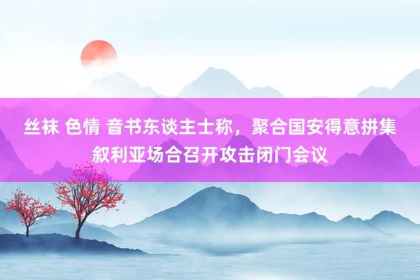 丝袜 色情 音书东谈主士称，聚合国安得意拼集叙利亚场合召开攻击闭门会议