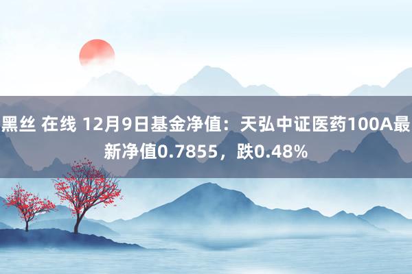 黑丝 在线 12月9日基金净值：天弘中证医药100A最新净值0.7855，跌0.48%