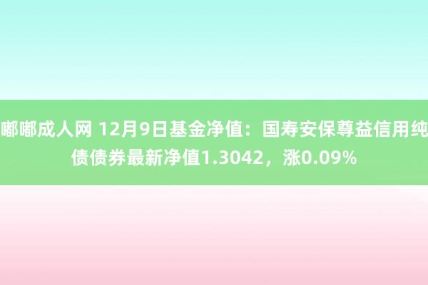 嘟嘟成人网 12月9日基金净值：国寿安保尊益信用纯债债券最新净值1.3042，涨0.09%