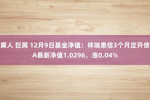 黑人 巨屌 12月9日基金净值：祥瑞惠信3个月定开债A最新净值1.0296，涨0.04%