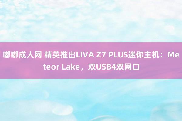 嘟嘟成人网 精英推出LIVA Z7 PLUS迷你主机：Meteor Lake，双USB4双网口