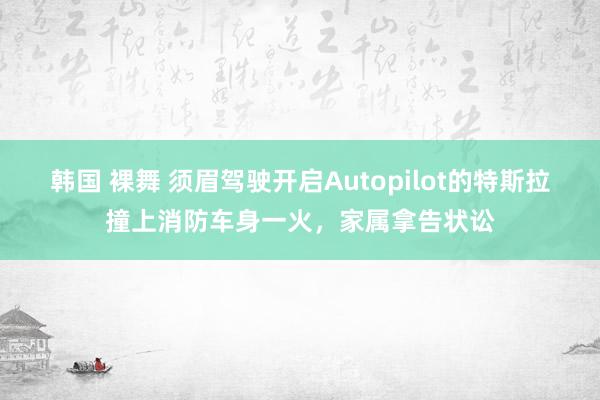 韩国 裸舞 须眉驾驶开启Autopilot的特斯拉撞上消防车身一火，家属拿告状讼