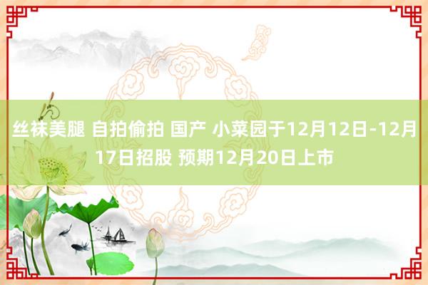 丝袜美腿 自拍偷拍 国产 小菜园于12月12日-12月17日招股 预期12月20日上市