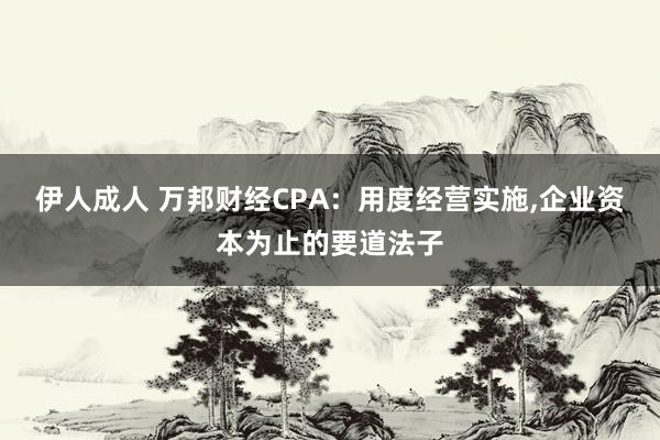 伊人成人 万邦财经CPA：用度经营实施，企业资本为止的要道法子