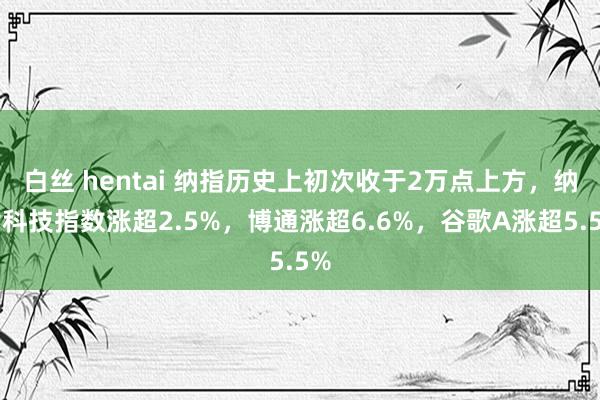 白丝 hentai 纳指历史上初次收于2万点上方，纳指科技指数涨超2.5%，博通涨超6.6%，谷歌A涨超5.5%