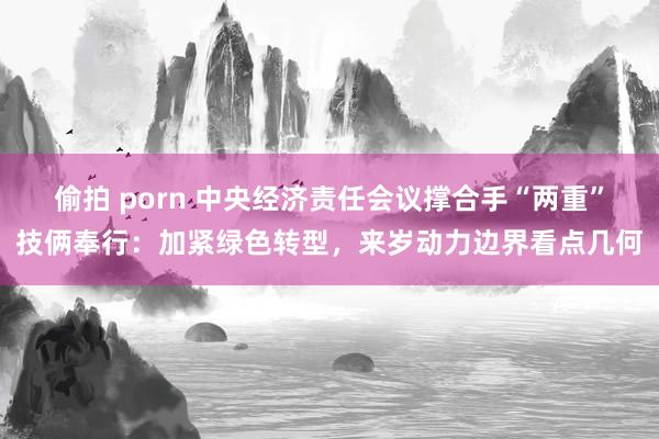 偷拍 porn 中央经济责任会议撑合手“两重”技俩奉行：加紧绿色转型，来岁动力边界看点几何