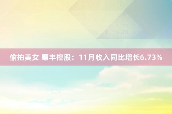 偷拍美女 顺丰控股：11月收入同比增长6.73%