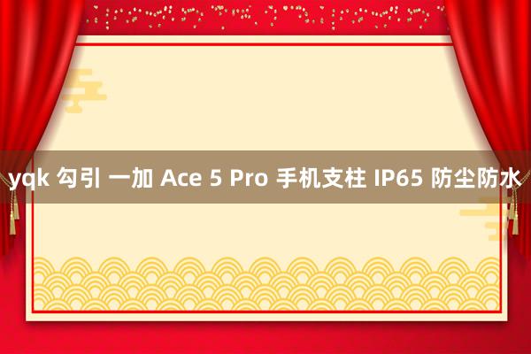 yqk 勾引 一加 Ace 5 Pro 手机支柱 IP65 防尘防水