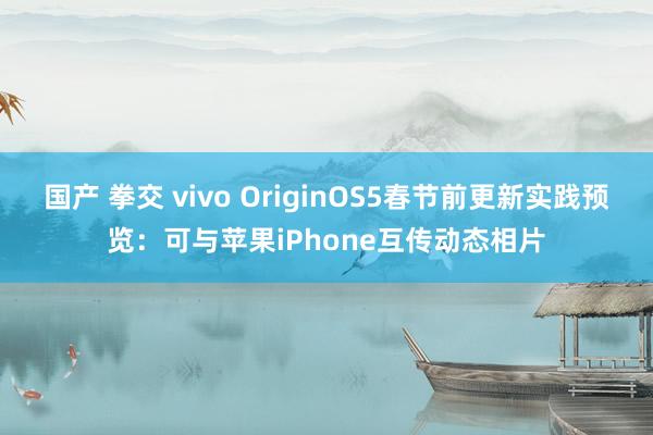 国产 拳交 vivo OriginOS5春节前更新实践预览：可与苹果iPhone互传动态相片