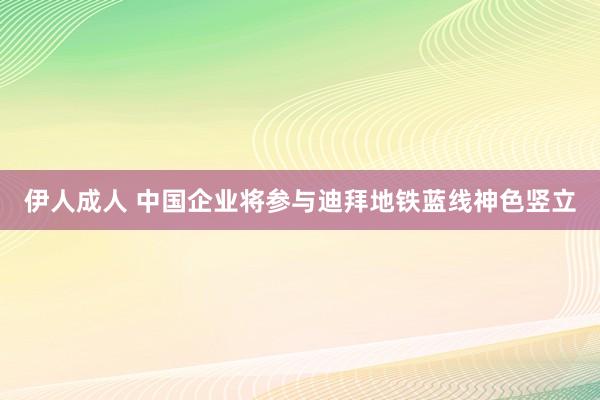 伊人成人 中国企业将参与迪拜地铁蓝线神色竖立