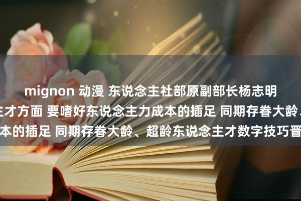 mignon 动漫 东说念主社部原副部长杨志明：数智赋能技巧东说念主才方面 要嗜好东说念主力成本的插足 同期存眷大龄、超龄东说念主才数字技巧晋升