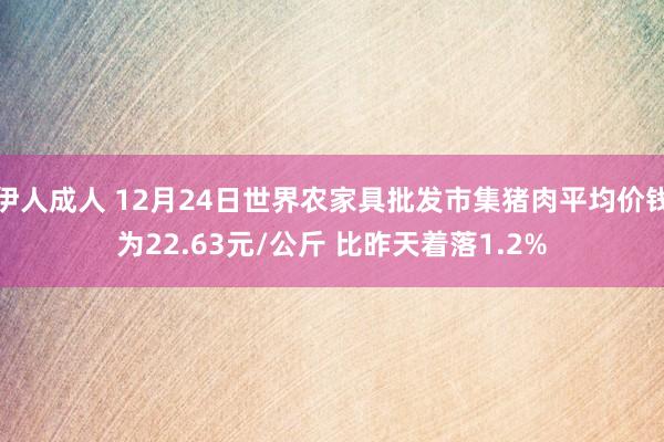 伊人成人 12月24日世界农家具批发市集猪肉平均价钱为22.63元/公斤 比昨天着落1.2%