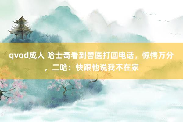 qvod成人 哈士奇看到兽医打回电话，惊愕万分，二哈：快跟他说我不在家