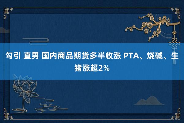 勾引 直男 国内商品期货多半收涨 PTA、烧碱、生猪涨超2%