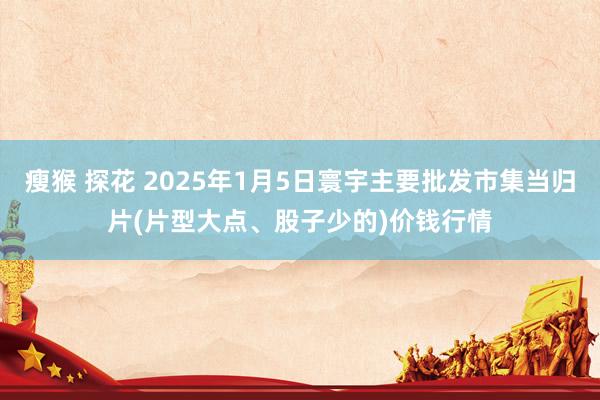 瘦猴 探花 2025年1月5日寰宇主要批发市集当归片(片型大点、股子少的)价钱行情