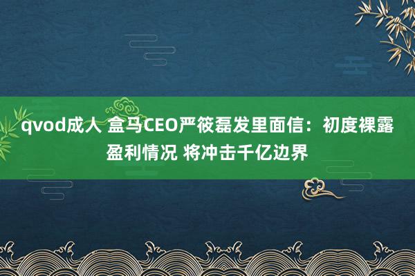 qvod成人 盒马CEO严筱磊发里面信：初度裸露盈利情况 将冲击千亿边界