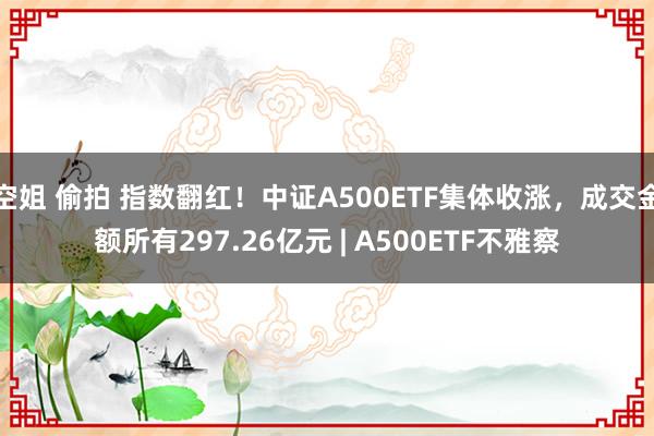 空姐 偷拍 指数翻红！中证A500ETF集体收涨，成交金额所有297.26亿元 | A500ETF不雅察