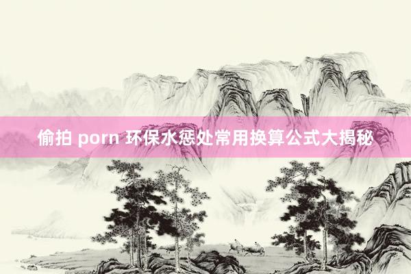 偷拍 porn 环保水惩处常用换算公式大揭秘