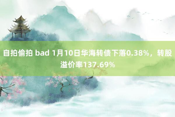 自拍偷拍 bad 1月10日华海转债下落0.38%，转股溢价率137.69%