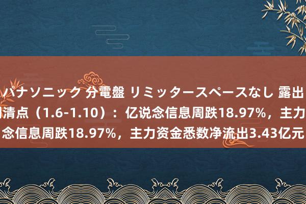 パナソニック 分電盤 リミッタースペースなし 露出・半埋込両用形 本周清点（1.6-1.10）：亿说念信息周跌18.97%，主力资金悉数净流出3.43亿元