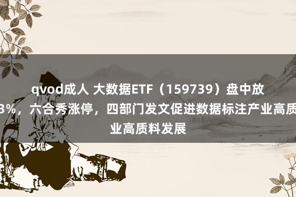 qvod成人 大数据ETF（159739）盘中放量涨超3%，六合秀涨停，四部门发文促进数据标注产业高质料发展