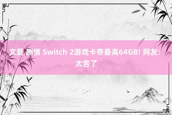 文爱 剧情 Switch 2游戏卡带最高64GB! 网友: 太苦了