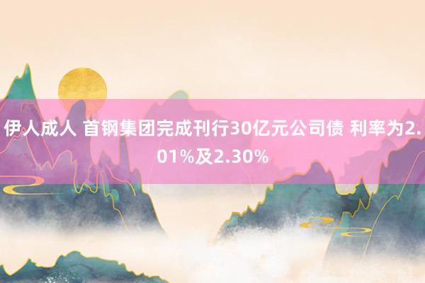 伊人成人 首钢集团完成刊行30亿元公司债 利率为2.01%及2.30%